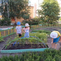 День огородника День огородника.