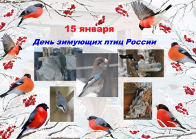15 января - День зимующих птиц России 15 января - День зимующих птиц России.