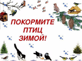 Акция "Покормите птиц зимой" Акция "Покормите птиц зимой".