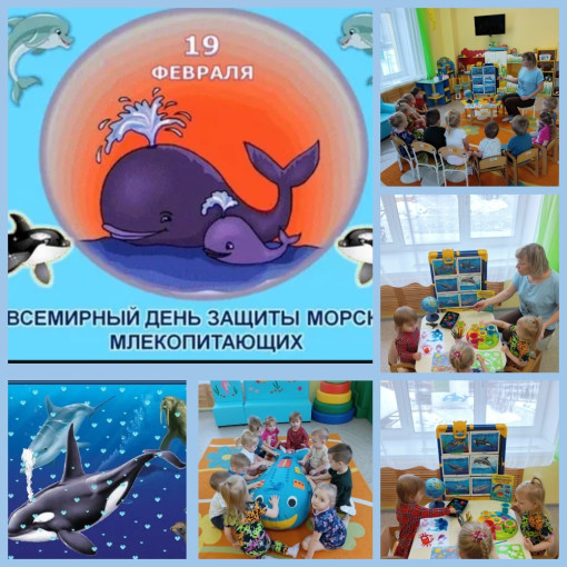 Всемирный день защиты морских млекопитающих. Всемирный день защиты морских млекопитающих.
