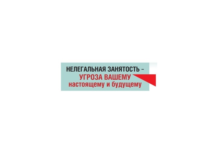 План мероприятий противодействия нелегальной занятости на 2025-2027 годы. План мероприятий противодействия нелегальной занятости на 2025-2027 годы.