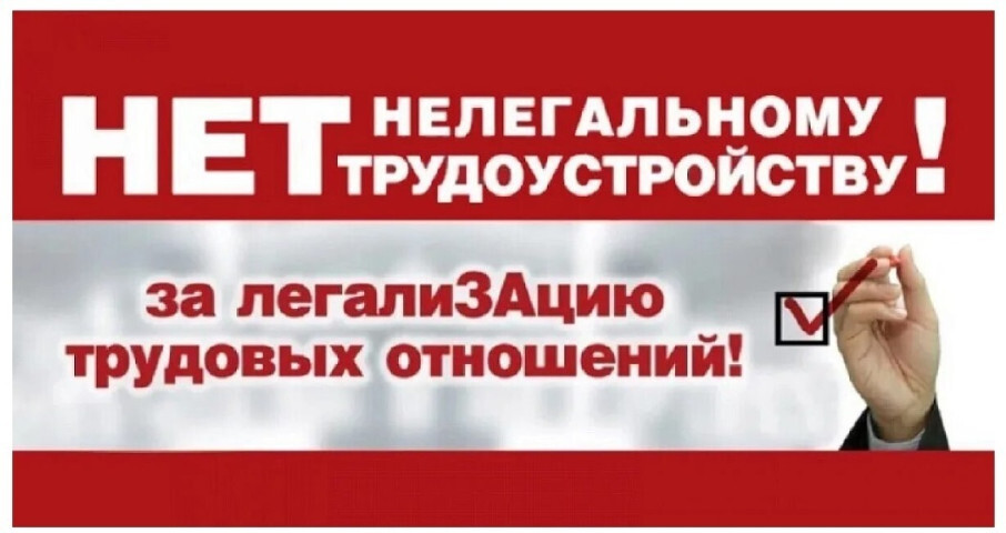 Информация о противодействии нелегальной занятости в 2025 году. Информация о противодействии нелегальной занятости в 2025 году.