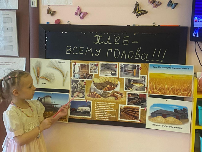 День злаковых растений. День злаковых растений.